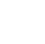 fondo
